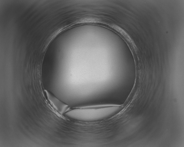 X0000082951337200702222303