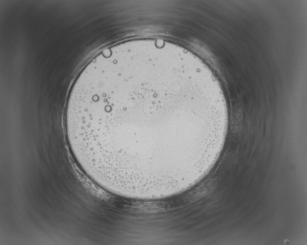 X0000082951338200702222303