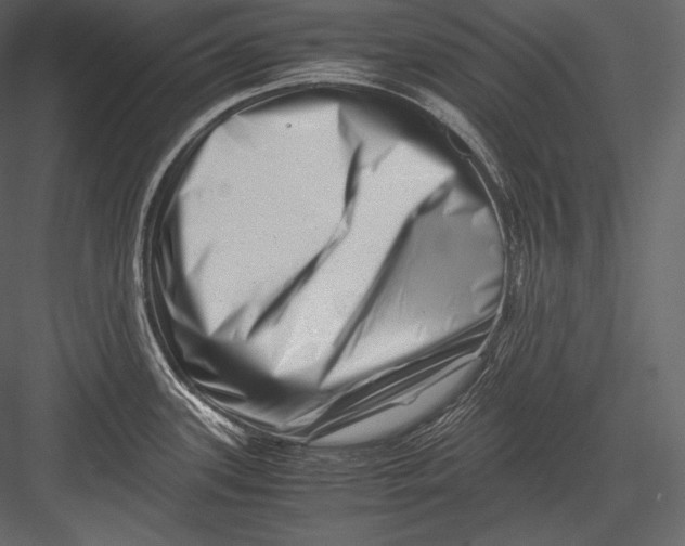 X0000082951339200702222303