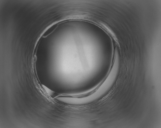 X0000082951340200702222303