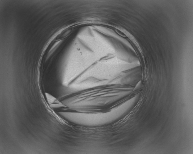 X0000082951341200702222303