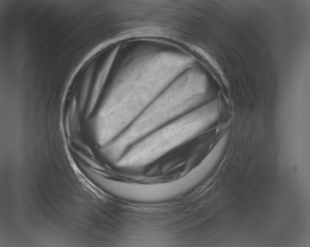 X0000082951342200702222303