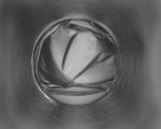 X0000082951343200702222303