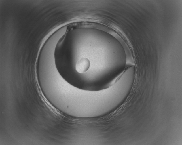 X0000082951344200702222303