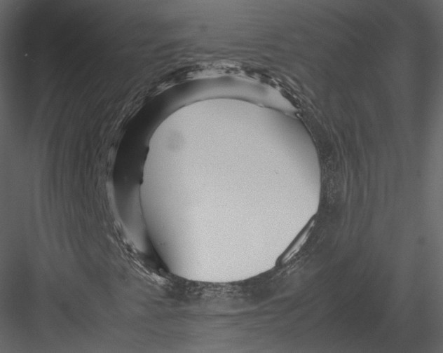 X0000082951345200702222302