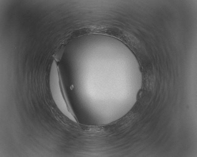 X0000082951346200702222302