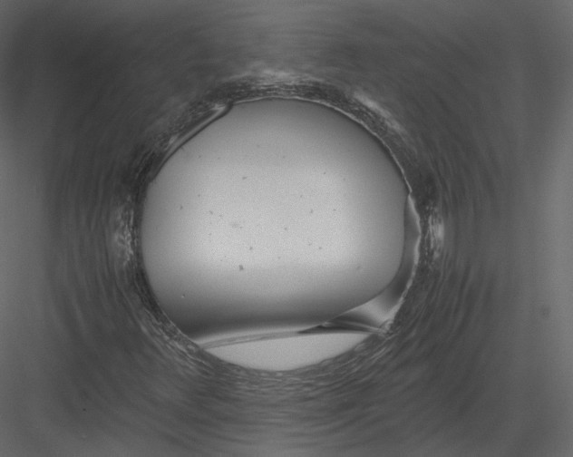 X0000082951348200702222302