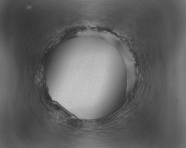 X0000082951349200702222302