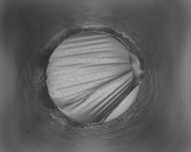 X0000082951351200702222302