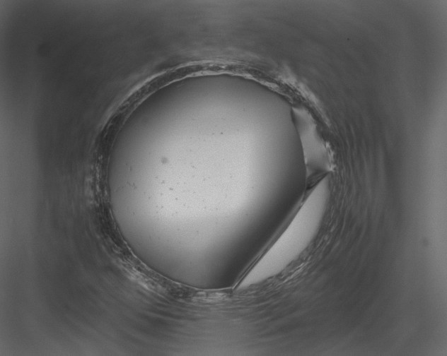 X0000082951352200702222302