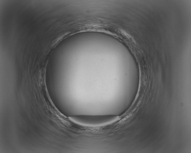 X0000082951353200702222302