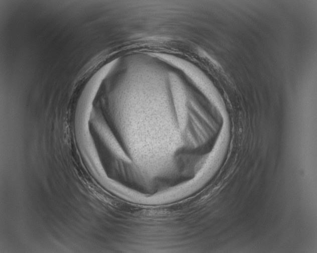 X0000082951354200702222302