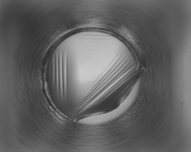 X0000082951356200702222302