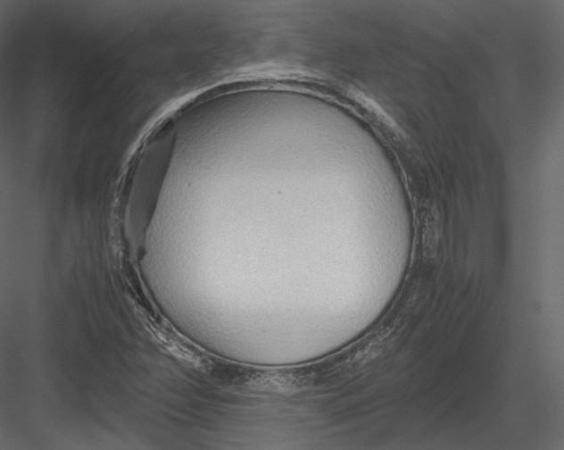 X0000082951358200702222302