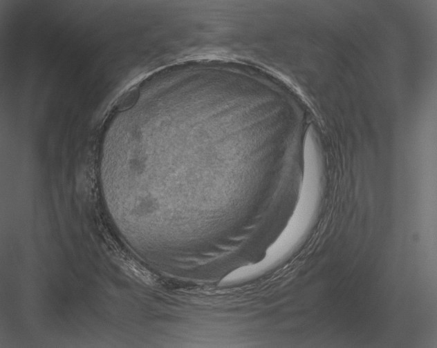 X0000082951359200702222302