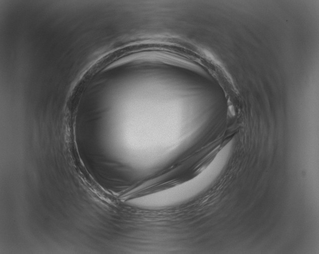 X0000082951360200702222302