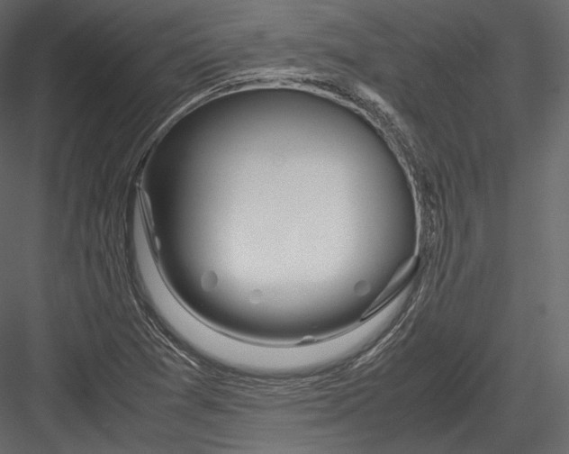 X0000082951361200702222302