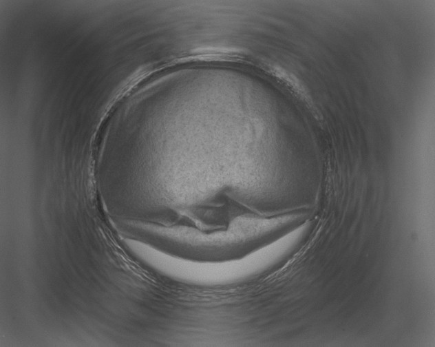 X0000082951362200702222302