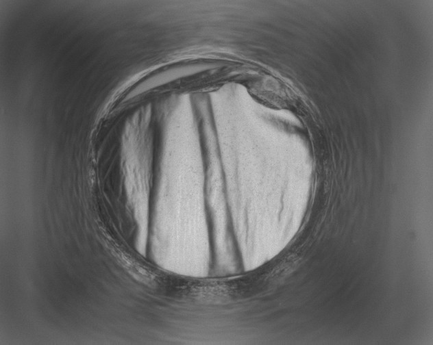 X0000082951363200702222302