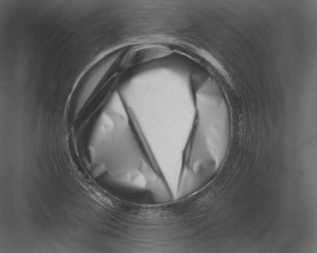 X0000082951364200702222302