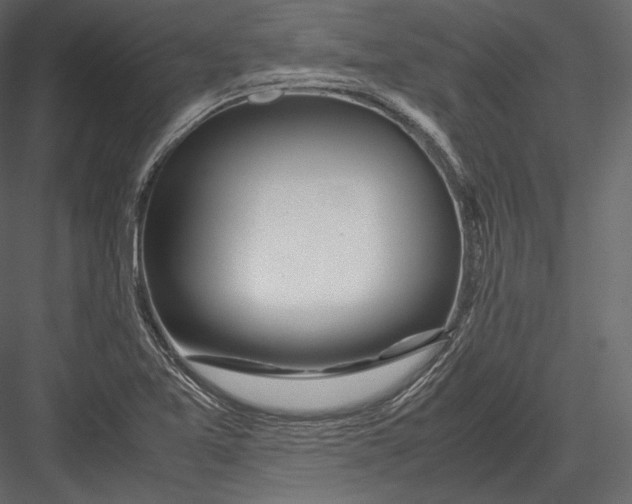 X0000082951365200702222302