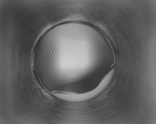 X0000082951366200702222302