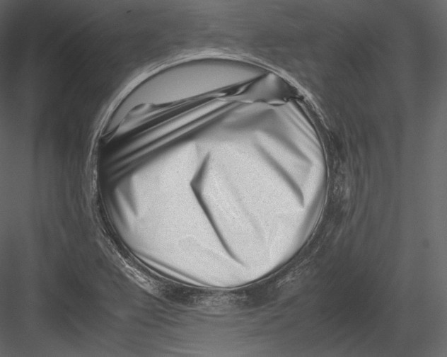 X0000082951367200702222302