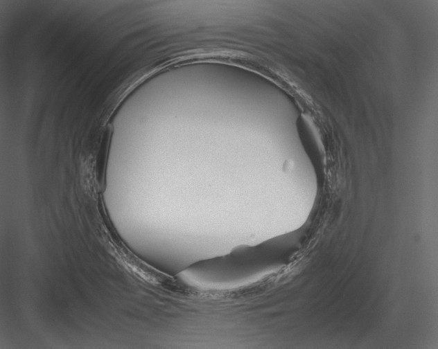 X0000082951369200702222302