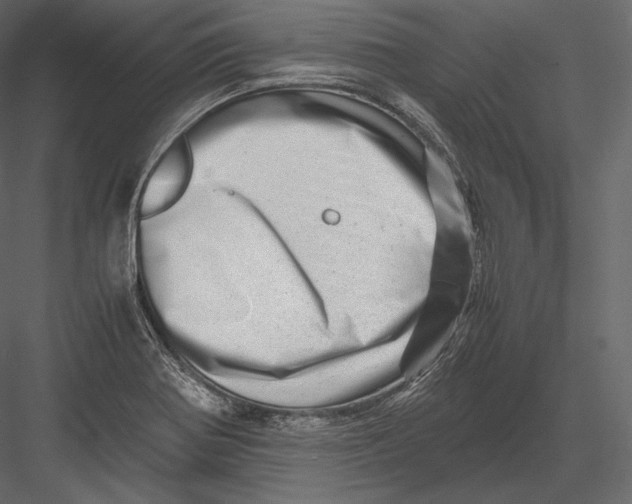 X0000082951370200702222302