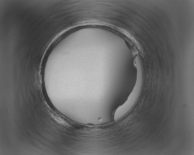 X0000082951372200702222302