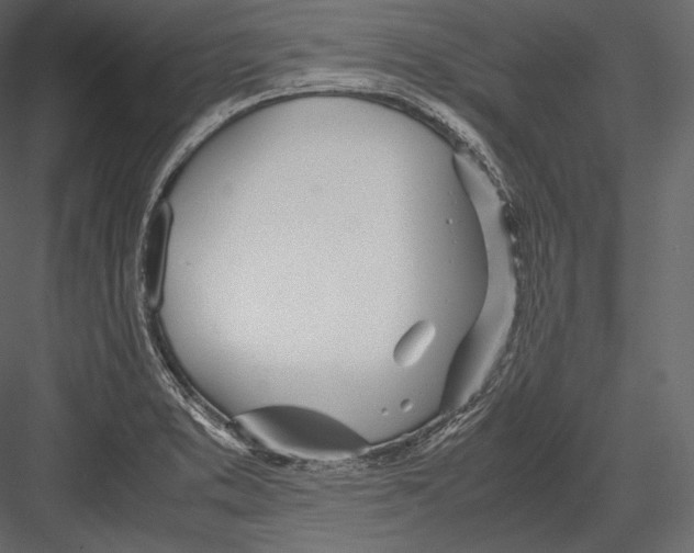 X0000082951373200702222302