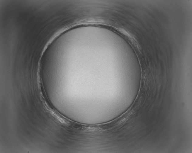 X0000082951374200702222302