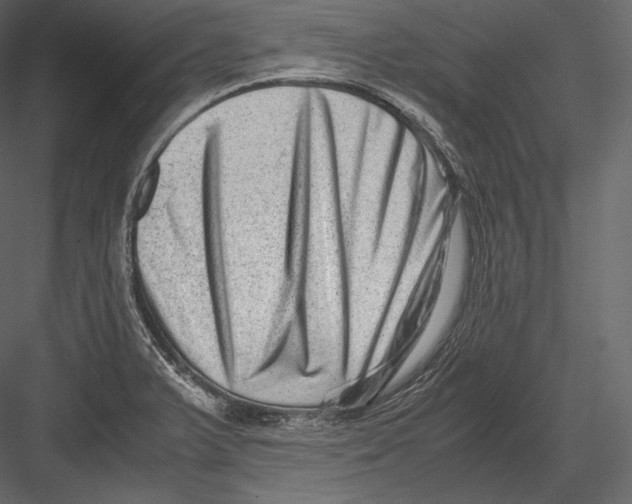 X0000082951375200702222302