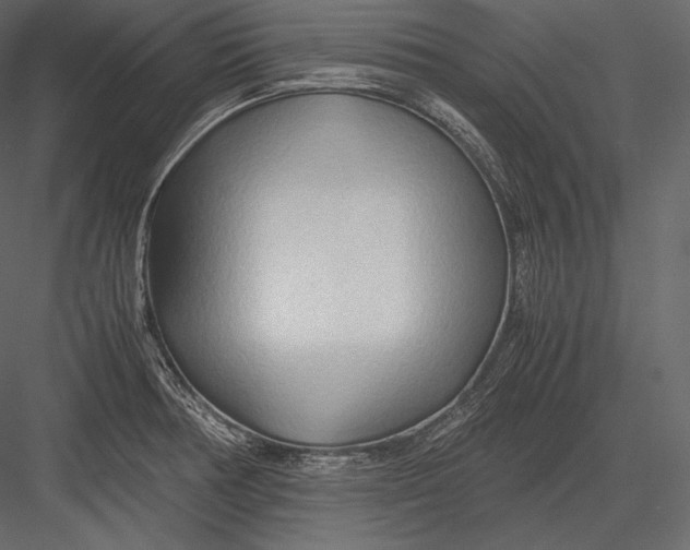 X0000082951378200702222302