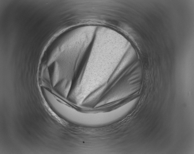 X0000082951379200702222302