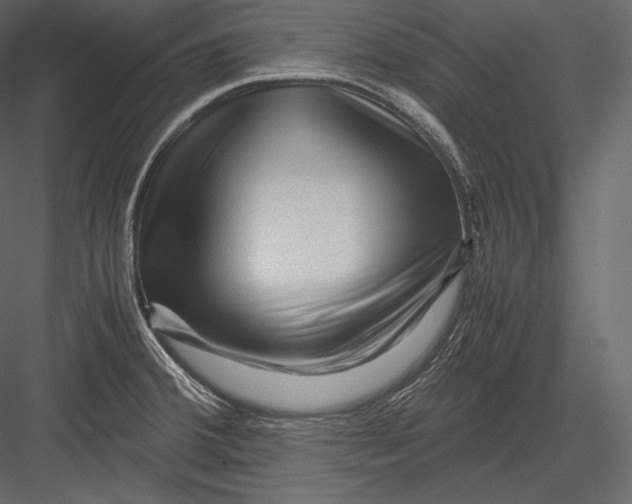 X0000082951380200702222302