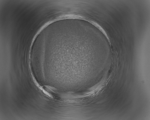 X0000082951381200702222302