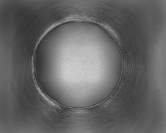 X0000082951382200702222302