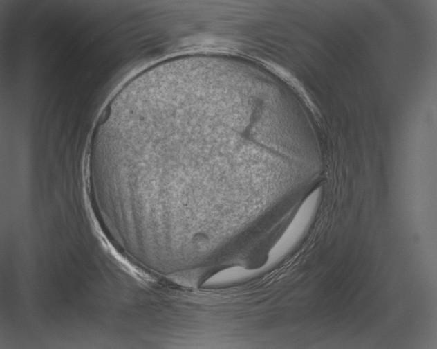 X0000082951383200702222302