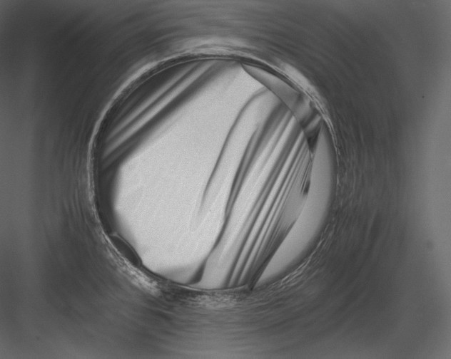 X0000082951384200702222302