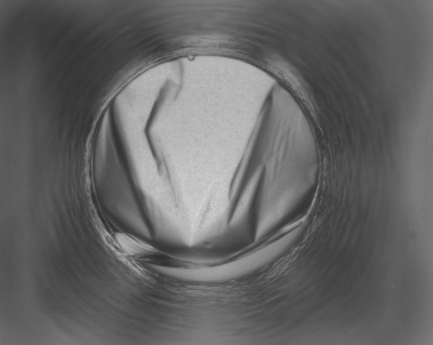 X0000082951386200702222302