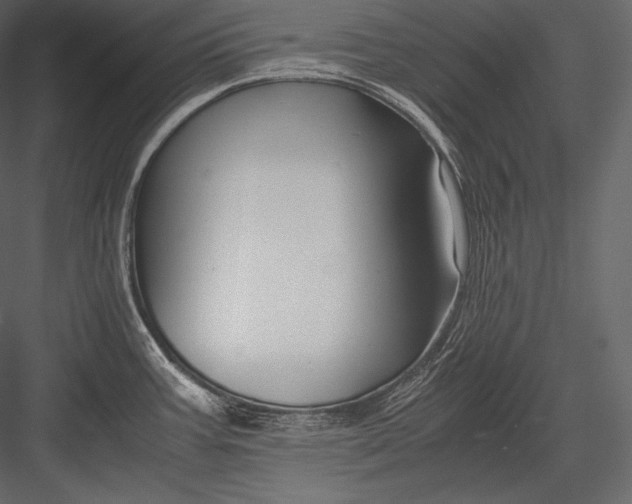 X0000082951387200702222302