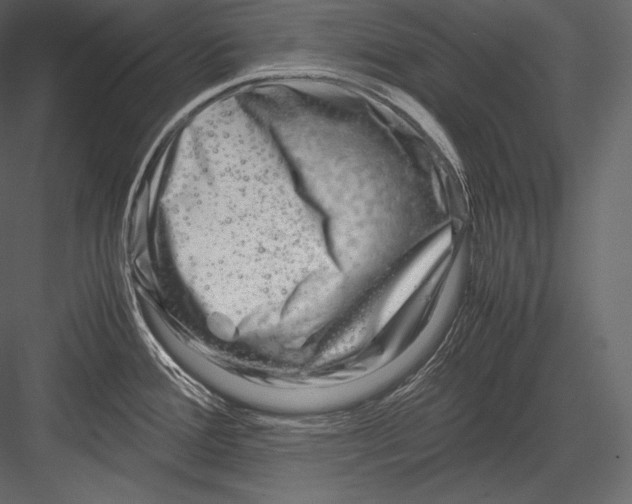 X0000082951388200702222301