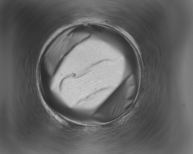 X0000082951389200702222301