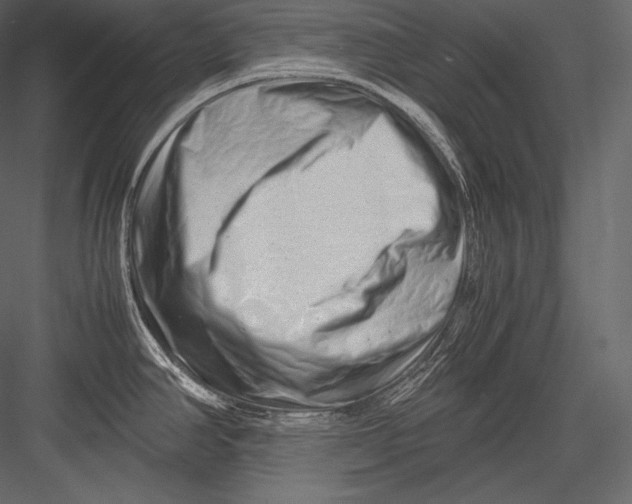 X0000082951390200702222301