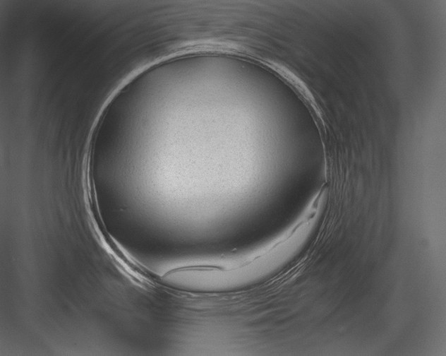 X0000082951391200702222301