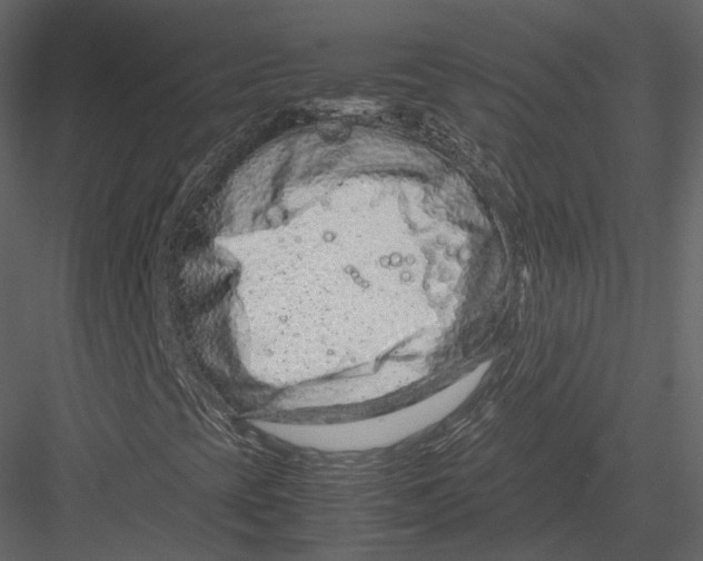 X0000082951393200702222301