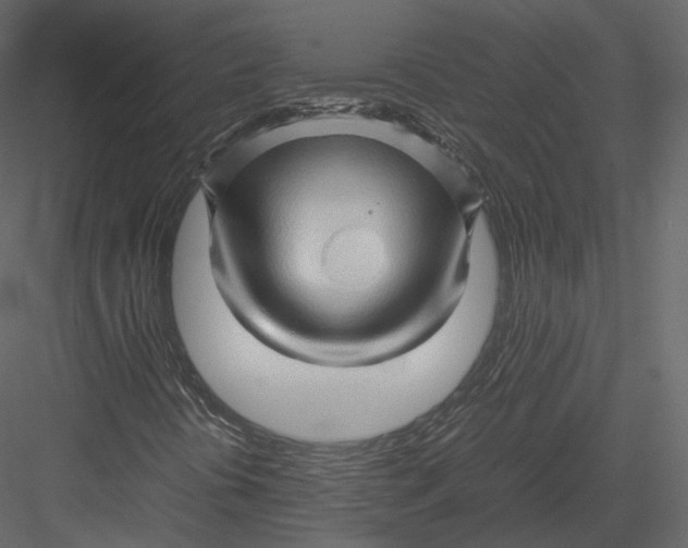 X0000082951394200702222301