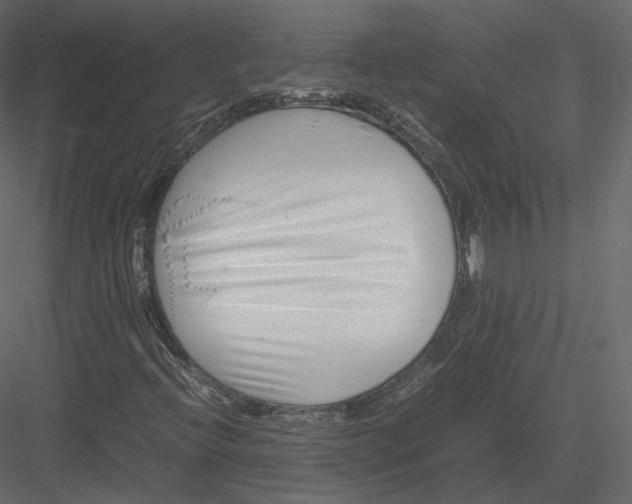 X0000082951396200702222301