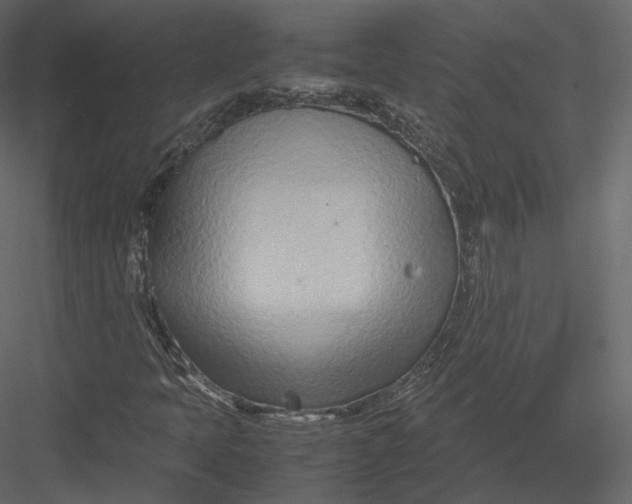 X0000082951397200702222301